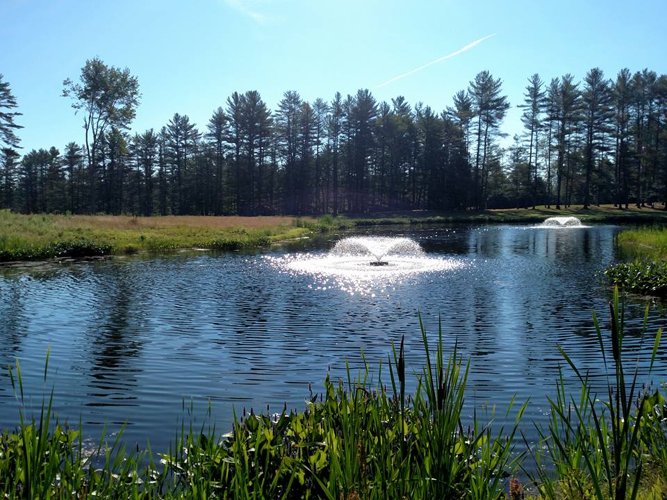 Beaver Meadow